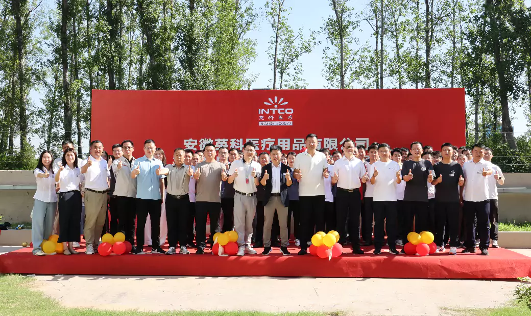 Anhui INTCO Medical Products Co., Ltd. conectó con éxito su proyecto de energía eólica a la red